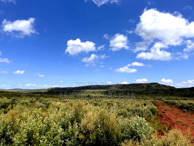 Nachu Mikuyuini - Image 6