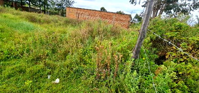 Prime Plot for Sale in Kimumu Ndovu in Eldoret - Image 2