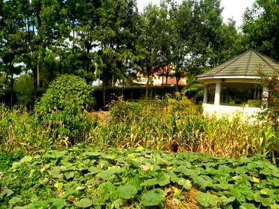 5bdrm Maisonette in Ngong, Maragara Road for sale - Image 4