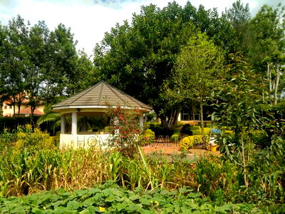 5bdrm Maisonette in Ngong, Maragara Road for sale - Image 5