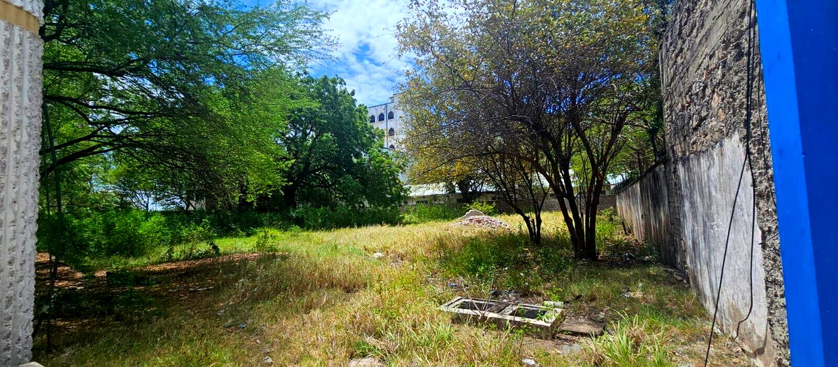 1.3-Acre Plot in Nyali