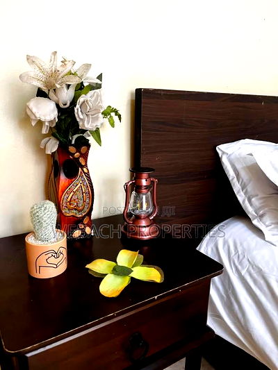 Block of Apartments/Shops and Hotel + Rooms Nairobi CBD - Image 7