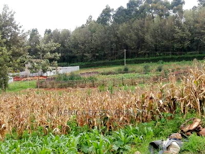 100x100 Ft Plot for Sale in Ondiri - Image 2