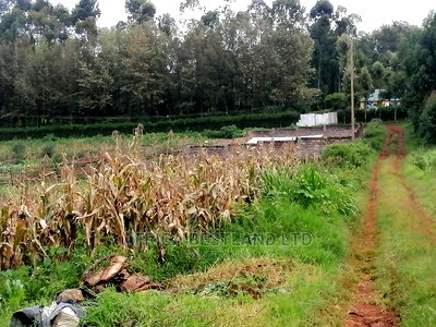 100x100 Ft Plot for Sale in Ondiri - Image 3