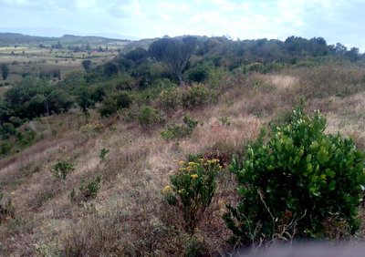 1 Acre Plot in Bahati for KSh 10M
