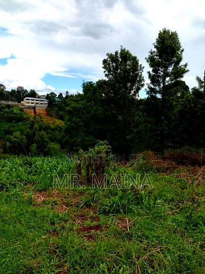 Quarter Acre in Ruaka Kigwaru Drive - Image 5