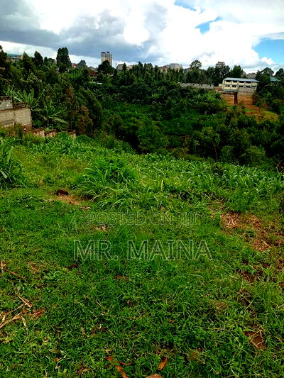 Quarter Acre in Ruaka Kigwaru Drive - Image 7