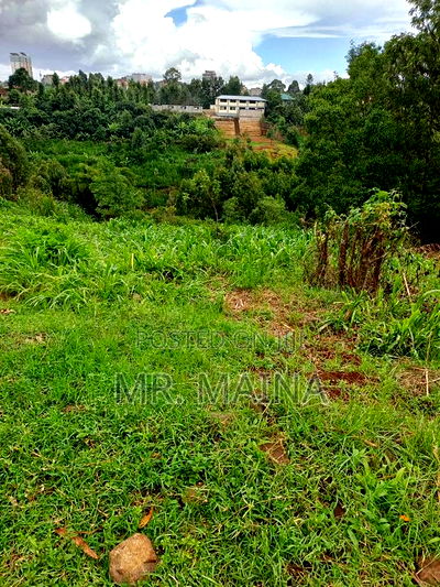 Quarter Acre in Ruaka Kigwaru Drive - Image 8