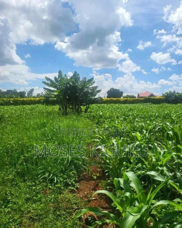 Mugutha Prime 40x80 Plots.