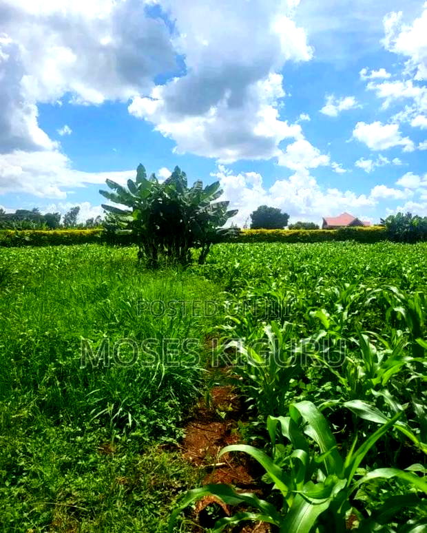 Mugutha Prime 40x80 Plots.