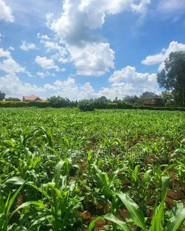 Mugutha Prime 40x80 Plots.