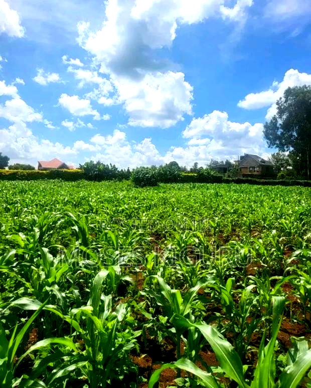 Mugutha Prime 40x80 Plots.