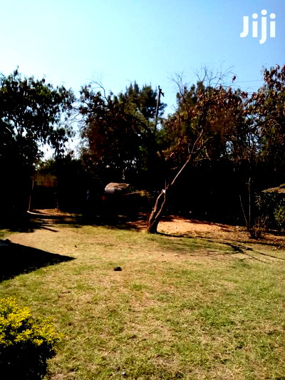 Selling 1/2 an Acre at Githurai Kimbo - Image 4