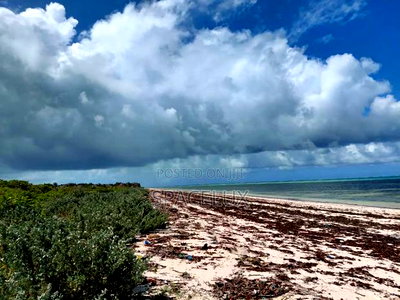 Lucrative Beach Plots Watamu - Image 1