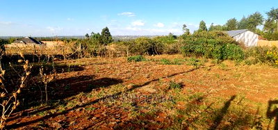 Big Full 1/8 Plot Fir Sale in Kipkenyo Rivertex Road Eldoret - Image 3