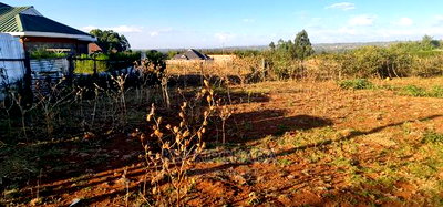 Big Full 1/8 Plot Fir Sale in Kipkenyo Rivertex Road Eldoret - Image 5