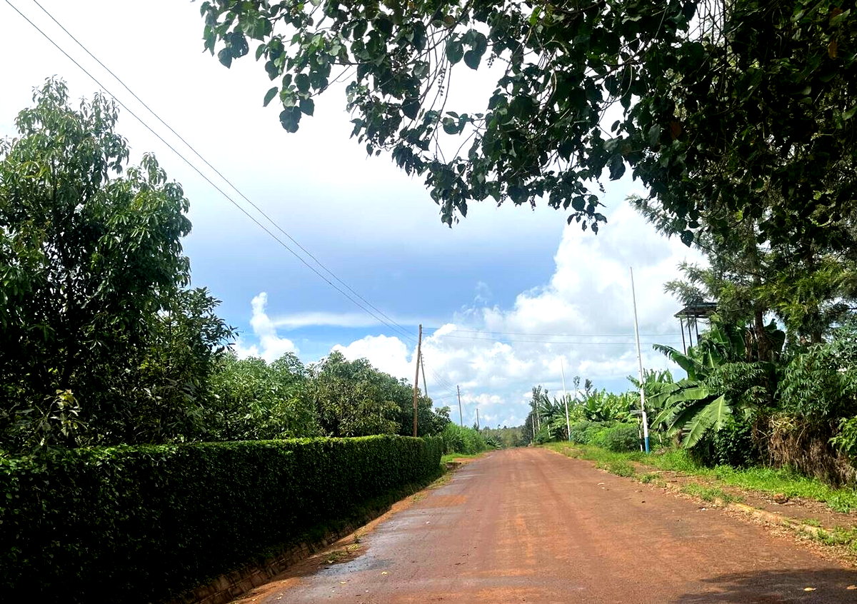 1/2 Acre Garden Plot with Parking - KSh 7.3M