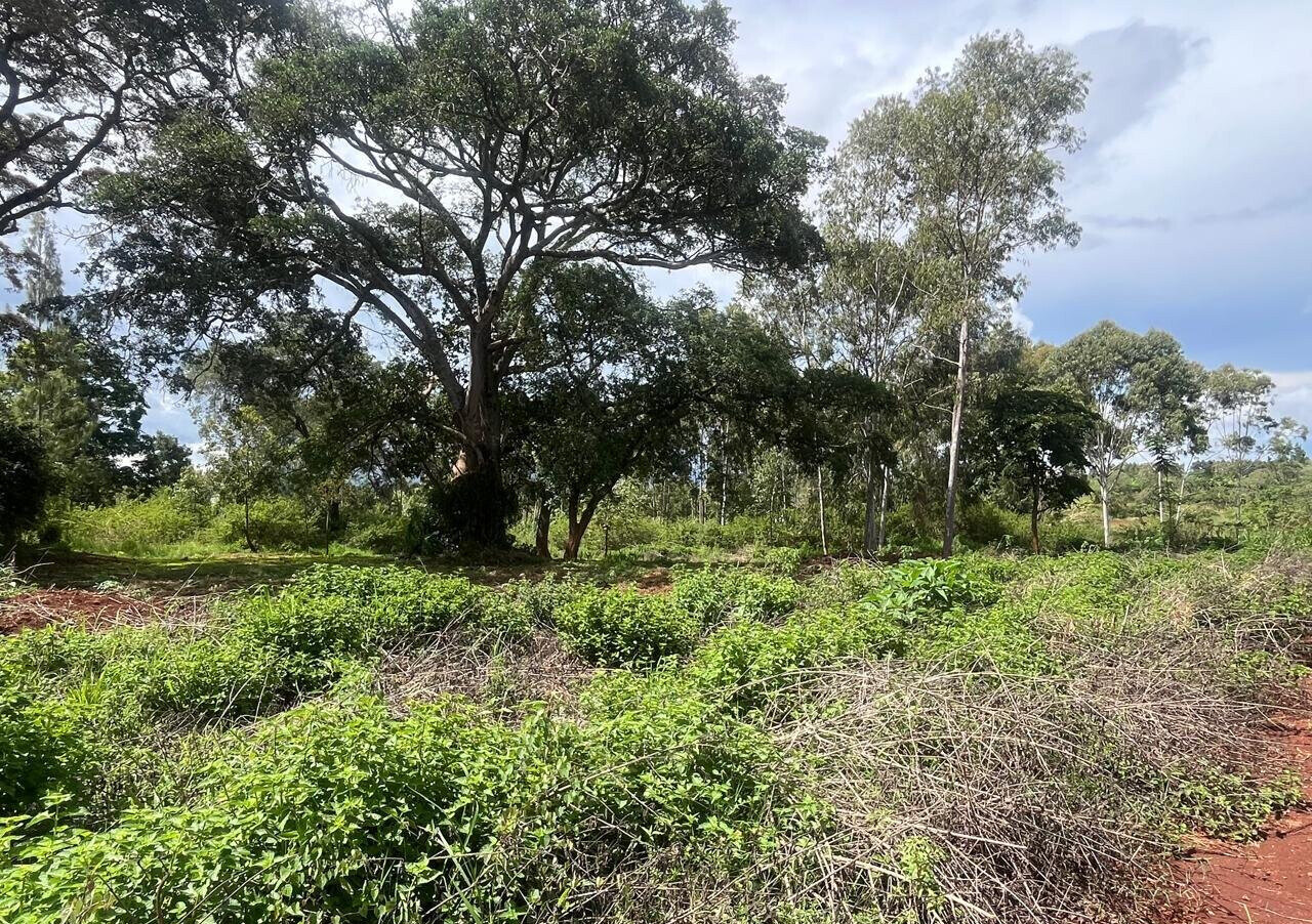 1/2 Acre Garden Plot with Parking - KSh 7.3M