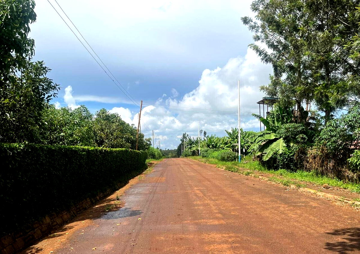 1/2 Acre Garden Plot with Parking - KSh 7.3M
