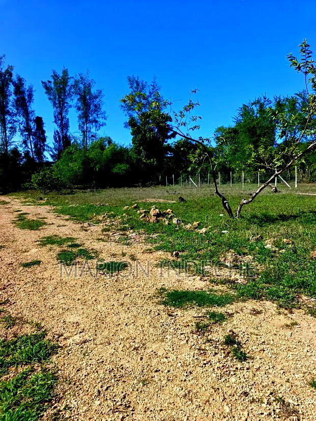 Mtwapa Prime 50by100ft Residential Plots for Sale