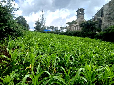 Olkeri Near Karen 3/4 Acre Prime Land for Sale - Image 1