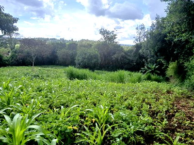 Olkeri Near Karen 3/4 Acre Prime Land for Sale - Image 2