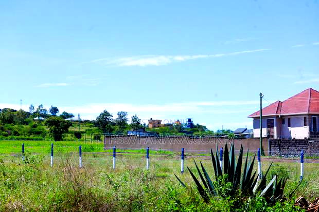 Mixed Use Project in Malaa ^ Sj