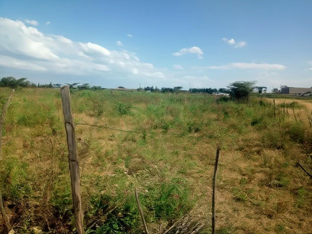 2 Prime 1/8 Plots FOR SALE- Kabarak, Nakuru County