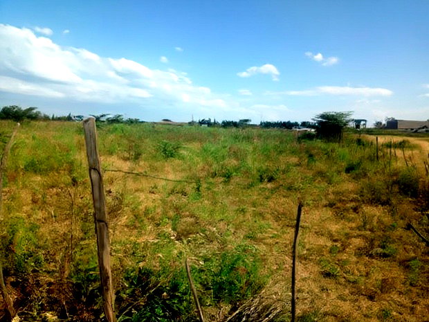2 Prime 1/8 Plots FOR SALE- Kabarak, Nakuru County