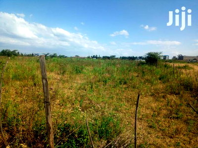 2 Prime 1/8 Plots FOR SALE- Kabarak, Nakuru County - Image 3