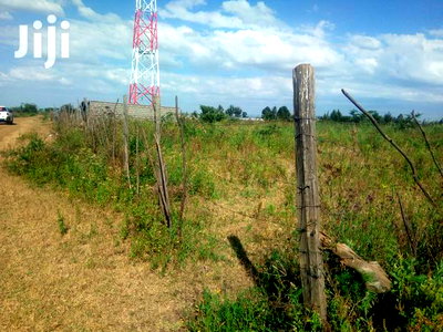 2 Prime 1/8 Plots FOR SALE- Kabarak, Nakuru County - Image 2