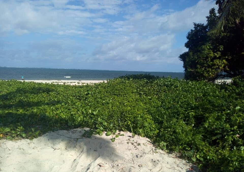 1-Acre Beach Plot for KSh 150M