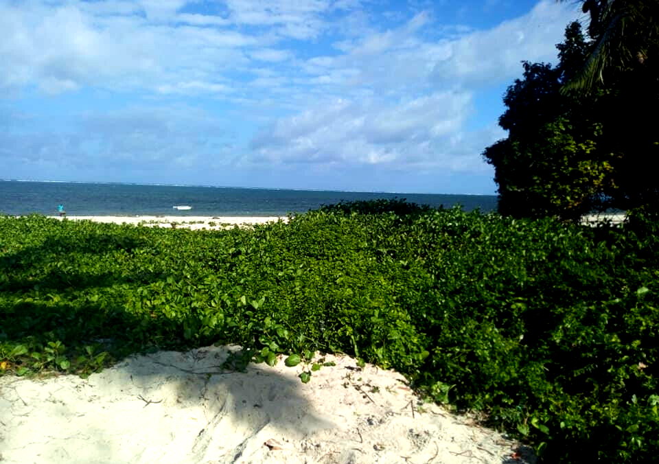 1-Acre Beach Plot for KSh 150M