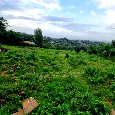 2 Acre Lemiso Road at 20m Per Acre - Image 8