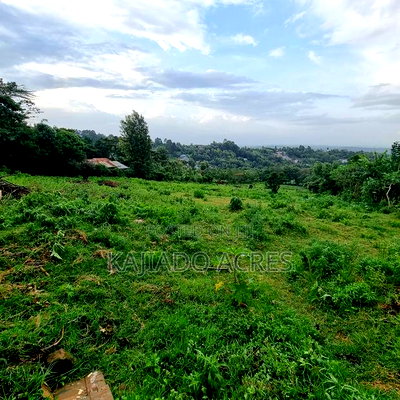 2 Acre Lemiso Road at 20m Per Acre - Image 4