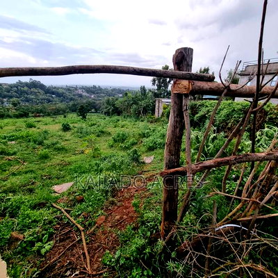 2 Acre Lemiso Road at 20m Per Acre - Image 1