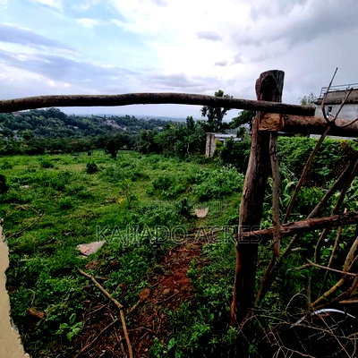 2 Acre Lemiso Road at 20m Per Acre - Image 2