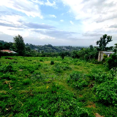 2 Acre Lemiso Road at 20m Per Acre - Image 6