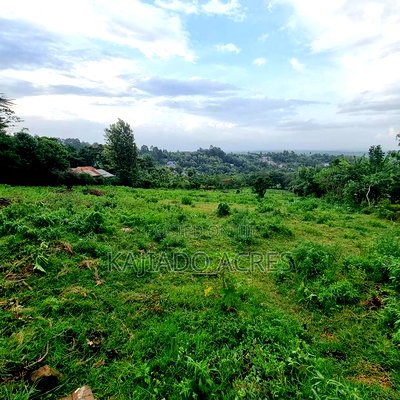 2 Acre Lemiso Road at 20m Per Acre - Image 7