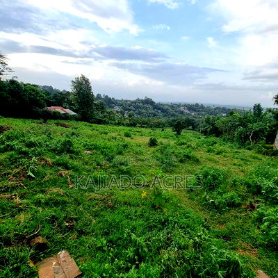 2 Acre Lemiso Road at 20m Per Acre - Image 9