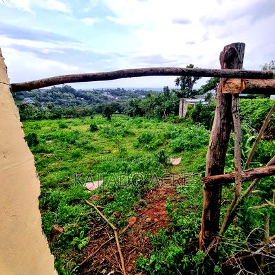 2 Acre Lemiso Road at 20m Per Acre - Image 3