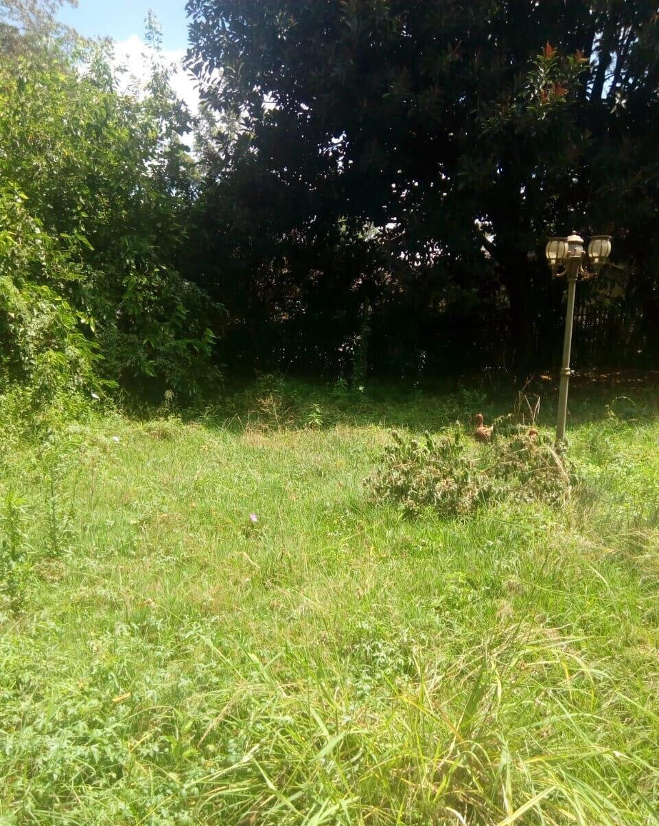 5-Ensuite Townhouse with DSQ & Beautiful Garden - Lavington