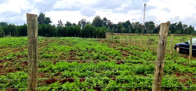 Prime 1/4 Plot for Sale in Racecourse Elgongiew in Eldoret - Image 8