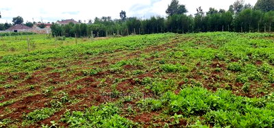 Prime 1/4 Plot for Sale in Racecourse Elgongiew in Eldoret - Image 6