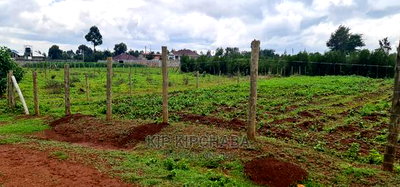 Prime 1/4 Plot for Sale in Racecourse Elgongiew in Eldoret - Image 1