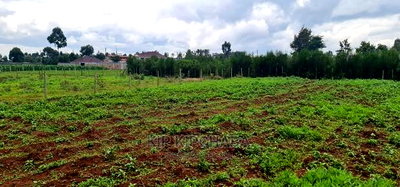 Prime 1/4 Plot for Sale in Racecourse Elgongiew in Eldoret - Image 3