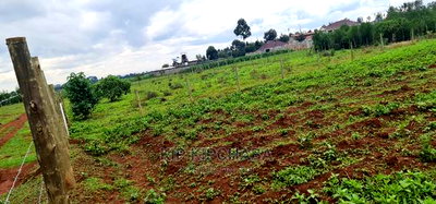 Prime 1/4 Plot for Sale in Racecourse Elgongiew in Eldoret - Image 7