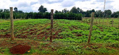 Prime 1/4 Plot for Sale in Racecourse Elgongiew in Eldoret - Image 2