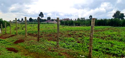 Prime 1/4 Plot for Sale in Racecourse Elgongiew in Eldoret - Image 9