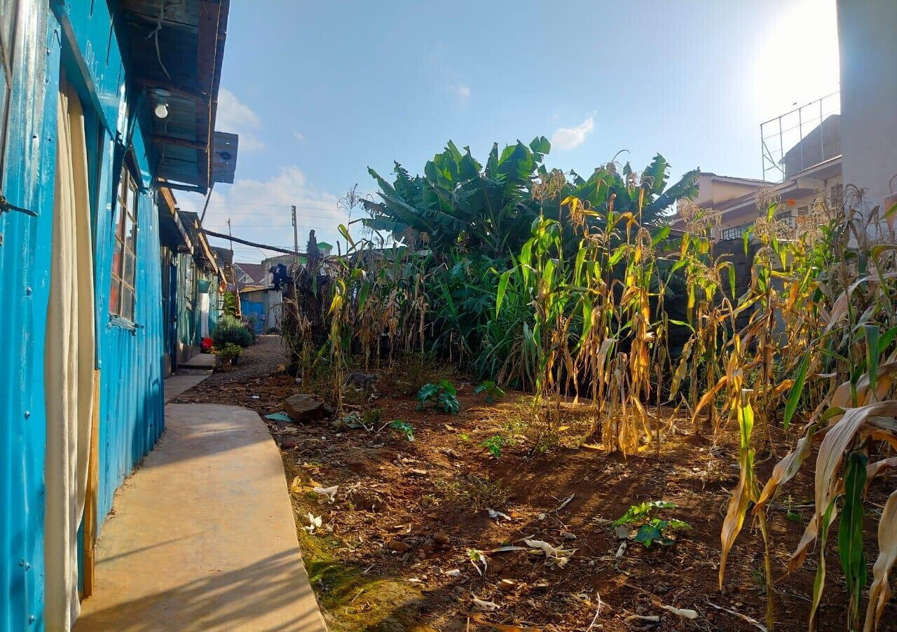 Half Acre Plot in Ruaka CBD